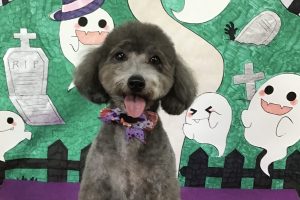 10月のお友達☆