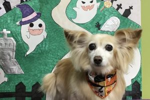 10月のお友達☆