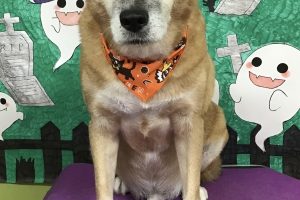 10月のお友達☆