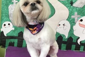 10月のお友達☆