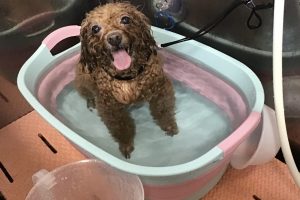 10月のお友達☆