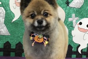 10月のお友達☆