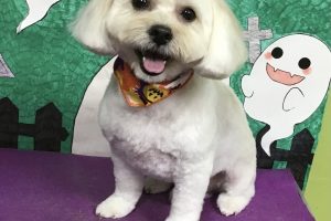 10月のお友達☆