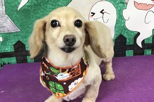 10月のお友達☆