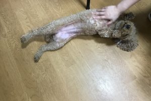お泊り中☆