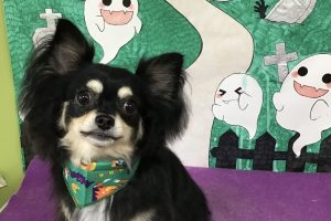 10月のお友達☆