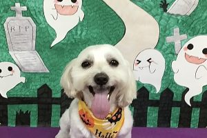 10月のお友達☆