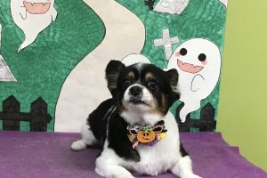 10月のお友達☆