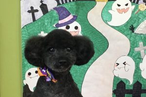 10月のお友達☆