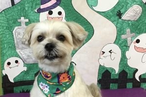 10月のお友達☆