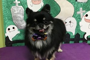 10月のお友達☆