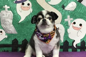 10月のお友達☆