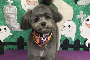 10月のお友達☆