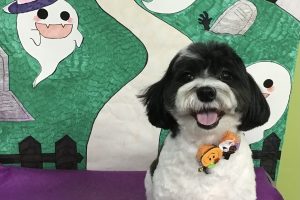 10月のお友達☆