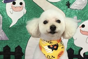 10月のお友達☆