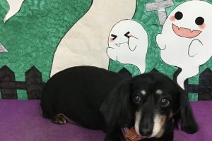 10月のお友達☆