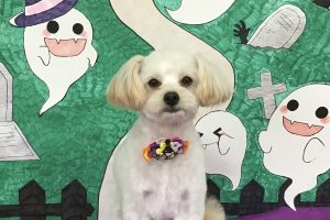 10月のお友達☆