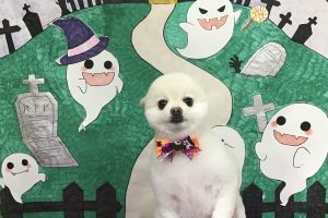 10月のお友達☆