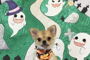 10月のお友達☆