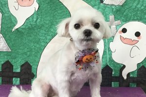 10月のお友達☆