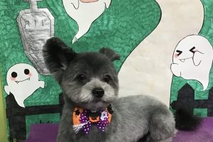 10月のお友達☆