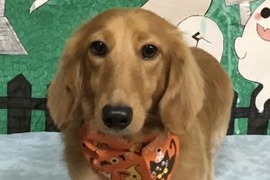 10月のお友達☆