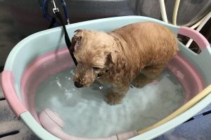 10月のお友達☆