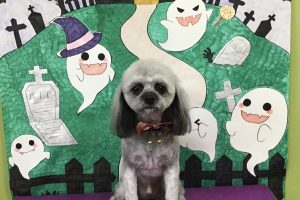 10月のお友達☆