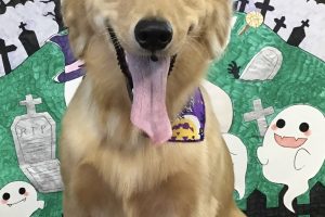 10月のお友達☆