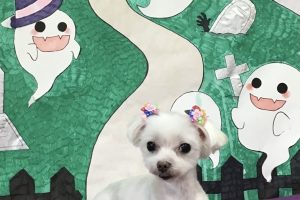 10月のお友達☆