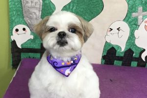 10月のお友達☆