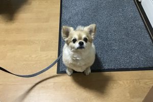 10月のお友達☆