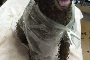 10月のお友達☆