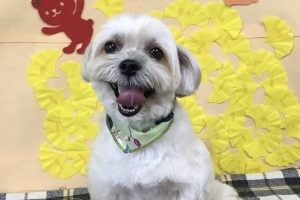 11月のお友達☆