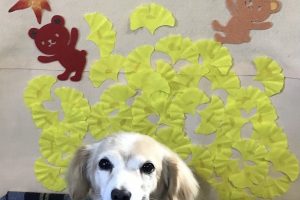 11月のお友達☆