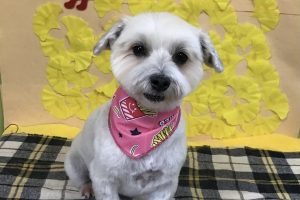 11月のお友達☆