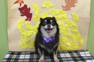 11月のお友達☆