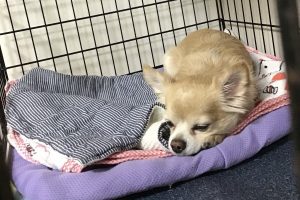 お泊まり中☆