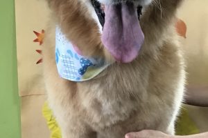 11月のお友達☆