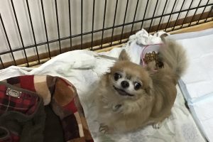 お泊り☆