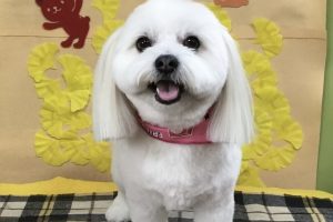 11月のお友達☆