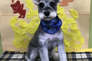 11月のお友達☆