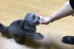 お泊まり中☆
