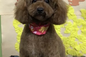 11月のお友達☆