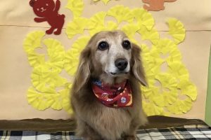 11月のお友達☆