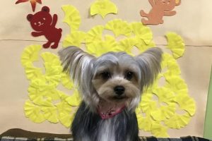 11月のお友達☆