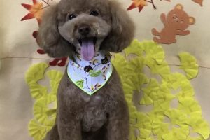 11月のお友達☆