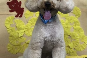 11月のお友達☆