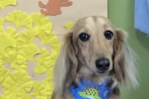 11月のお友達☆
