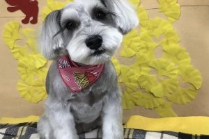 11月のお友達☆